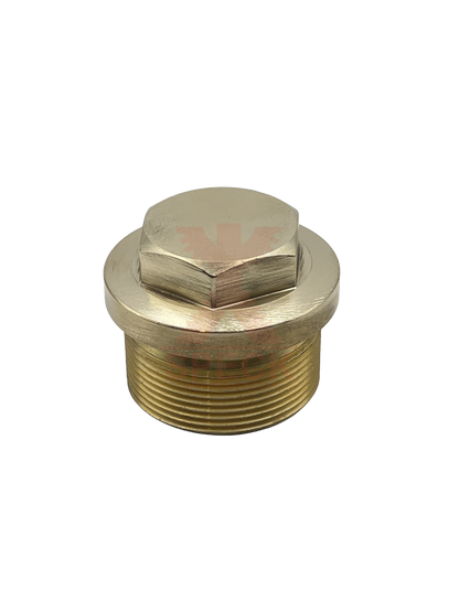 Plug M36x1.5 P41/51, P41/58, P41/70