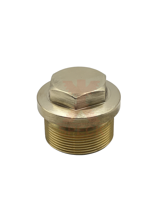 Plug M36x1.5 P41/51, P41/58, P41/70