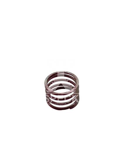 Valve Spring