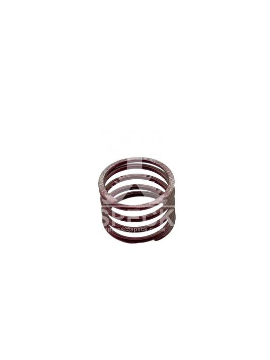 Valve Spring