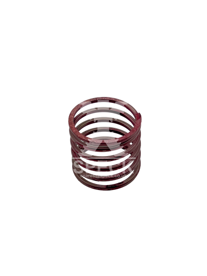 Valve Spring