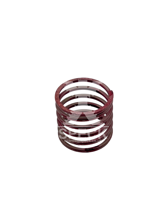 Valve Spring