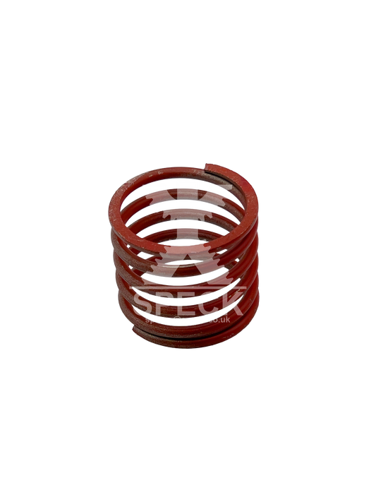 Valve Spring