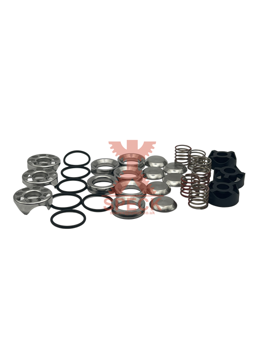 Valve Repair Kit