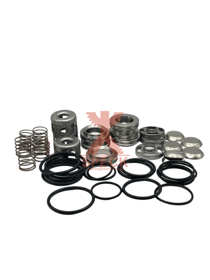 Valve Repair Kit P41/33, P41/48