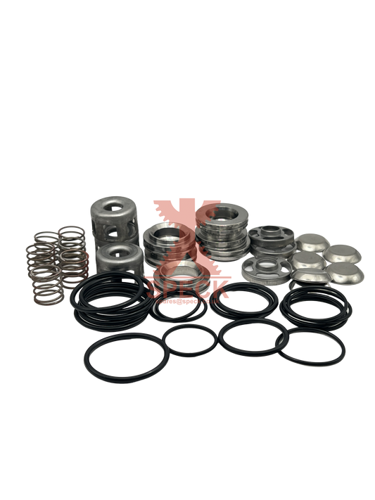Valve Repair Kit P41/33, P41/48