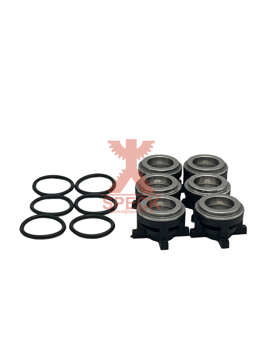 Valve Repair Kit P21/16