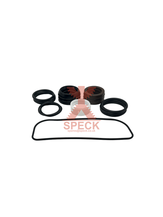 Seal Repair Kit P21/15, P21/19