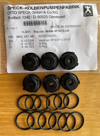 14.0691 NP10/NP16 Valve Kit