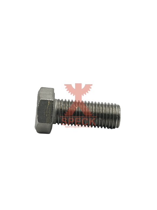 Hexagon Screw