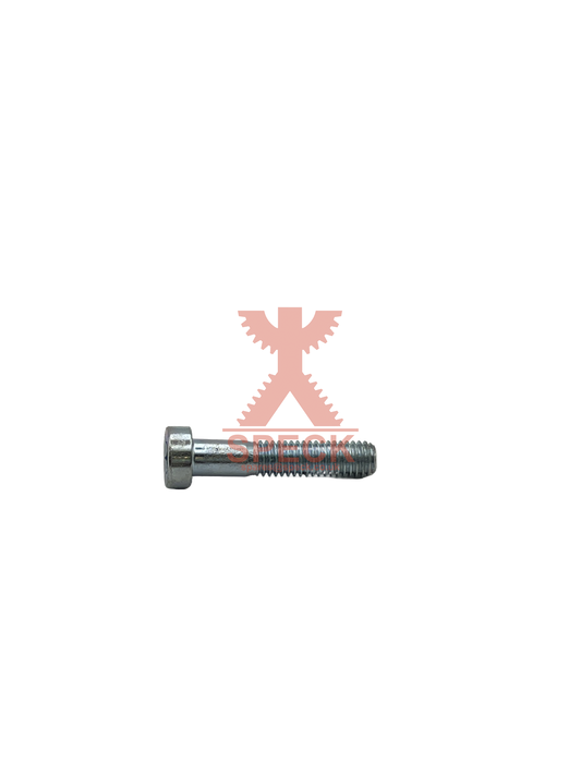 Hexagon Socket Screw