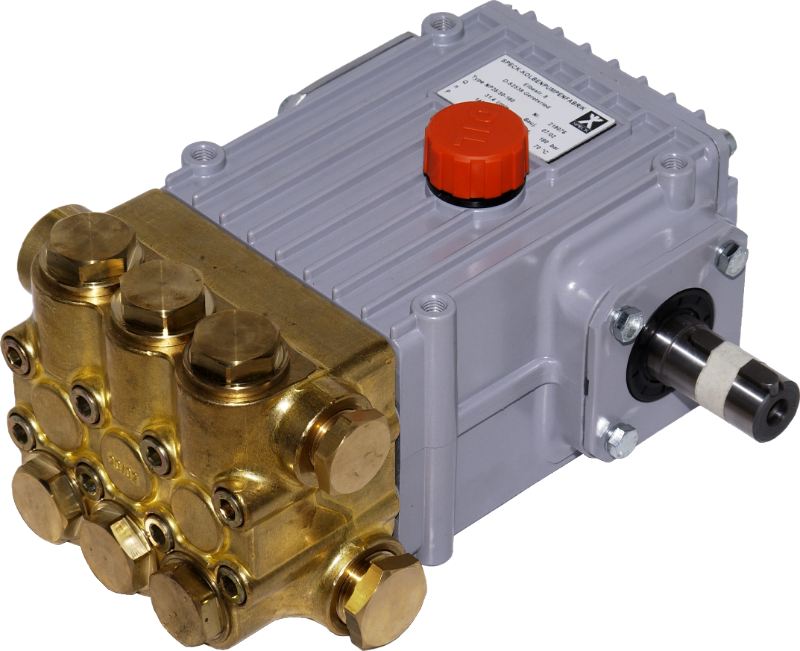 NP25/21-300 Bareshaft Pump